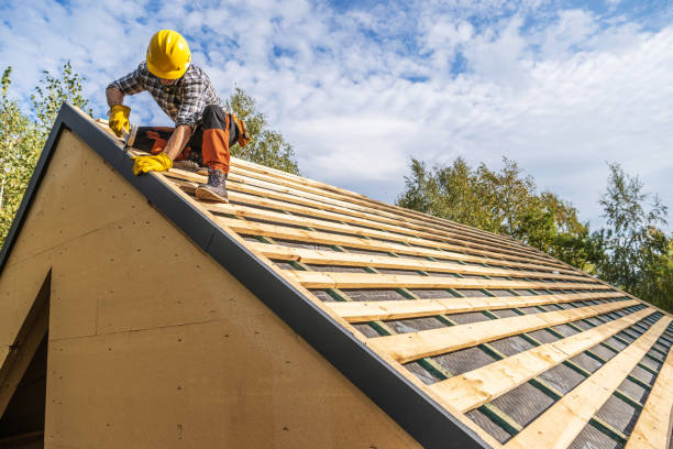 Roof Gutter Cleaning in Kaukauna, WI